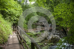 Vintgar gorge, beauty of nature, river Radovna through mountains,Bled, Slovenia