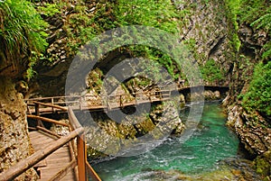 Vintgar Gorge, Bled, Slovenia with wooden walkway Zumer Galleries at the side & Radovna river photo