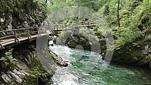 Vintgar gorge,radovna river,slovenie 144308