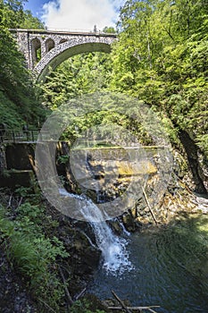 Vintgar gorge at Radovna Stream waterfall