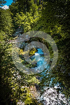 Vintgar gorge in Slovenia