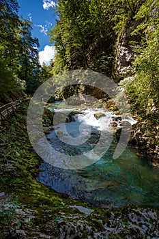 Vintgar gorge in Slovenia