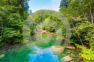 Vintgar gorge waterfall in Slovenia, Triglav national park. Pure fresh water in beautiful nature and forest. Tourist paths near wa