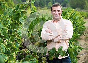 Vintner with clusters of grape