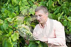 Vintner with clusters of grape outdoors