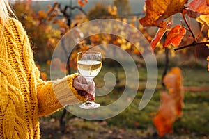 Vintner enjoying white wine in her vineyard at autumn