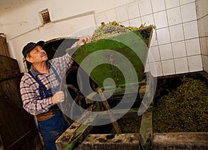 Vintner pressing grapes