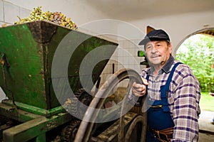 Vintner pressing grapes