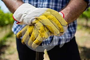 vintner standing with shovel in vineyard