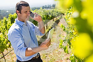 vintner using digital tablet while talking on mobile phone