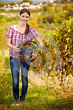 Vintner in vineyard