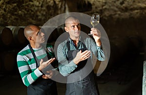 Vintners inspecting quality of white wine in winery cellar photo