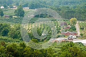 Vinyard in a distance of virginia mountains