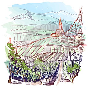 Vinyard in Tirol Alps, Austria. Rural panorama of the mountain valley with a grapevine plantation and village. Linear