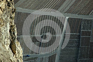 Vinyards in the Rhone Valley