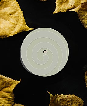 Vinyl plate strewn with fallen leaves.