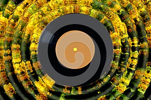 vinyl record on abstract yellow background. melodies of autumn. photo