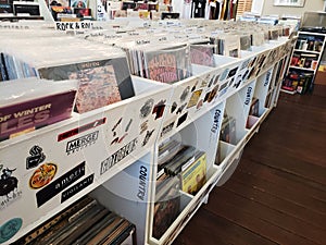 Vinyl Record Collection in Organized Store Bins in Music Store