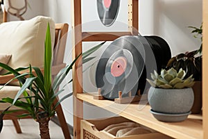 Vinyl records on wooden shelving unit with houseplants in living room