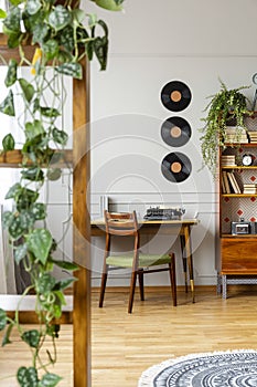 Vinyls above desk with typewriter in stylish vintage apartment
