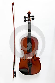 Viola photo