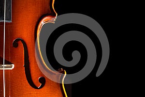 Viola black background