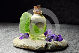 Viola odorata natural bio aroma oil photo