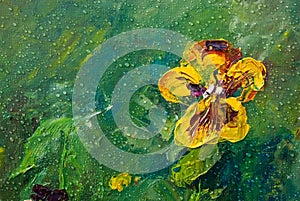 Oil painting of Viola Tricolor photo