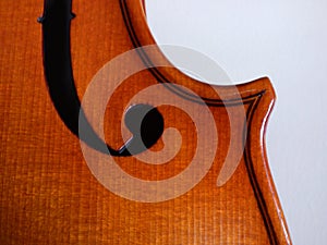 Viola scroll detail