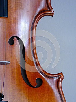 Viola scroll detail