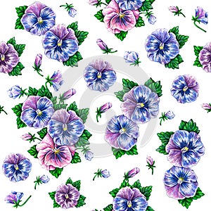 Viola tricolor. Watercolor colorful pansies flowers drawing. Watercolor seamless flowers pattern