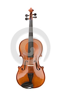 Viola or violin