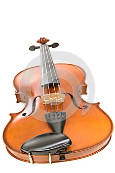 Viola or violin