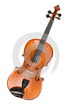 Viola or violin