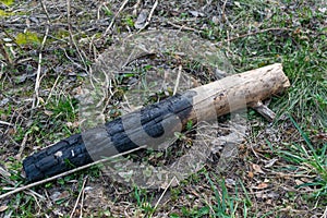 Violation of the ecology of forest fires