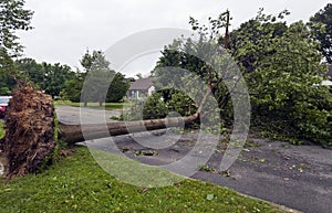 Violent Urban Storm Aftermath