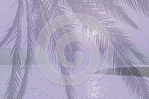 Violet abstract palm tree ocean landscape at sunset