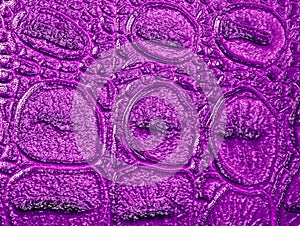 Violet alligator patterned background