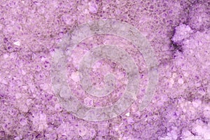 Violet Amethyst Cactus Quarz stone