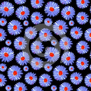 Violet aster flowers seamless pattern