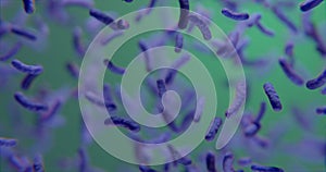 Violet bacteria under microscope abstract background 3d-rendering