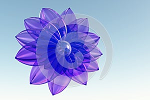 Violet beautiful flower