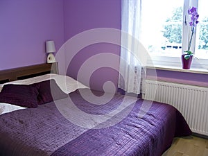 Púrpura dormitorio 