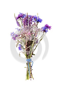 Violet, blue wildflowers, bouquet isolated on white background, lavender, cornflowers, catnip, sage borage