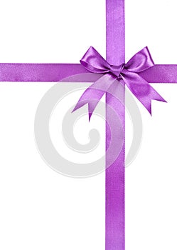 Violet bow isolated on white background