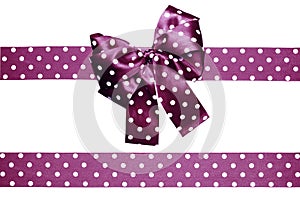 Violet bow and ribbon with white polka dots made from silk