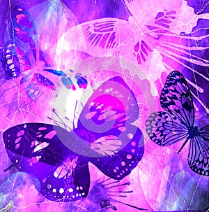 Violet Butterfly Grunge photo