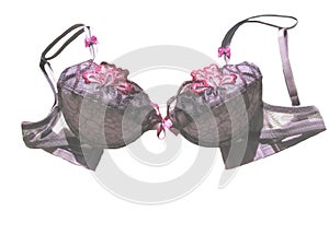 Violet-colored brassiere photo