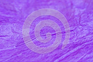 Violet creased paper tissue texture background