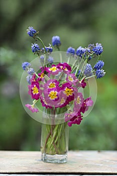 Violet crimson blue flowers bouquet close up photo on summer green background